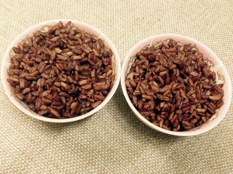 bac-si-bach-mai-choang-vi-benh-nhan-tu-luyen-bo-doi-te-bao-ung-thu