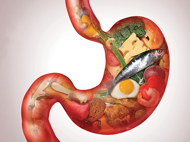 chuyen-gia-tiet-lo-thuc-pham-kiem-che-vi-khuan-gay-ung-thu-da-day