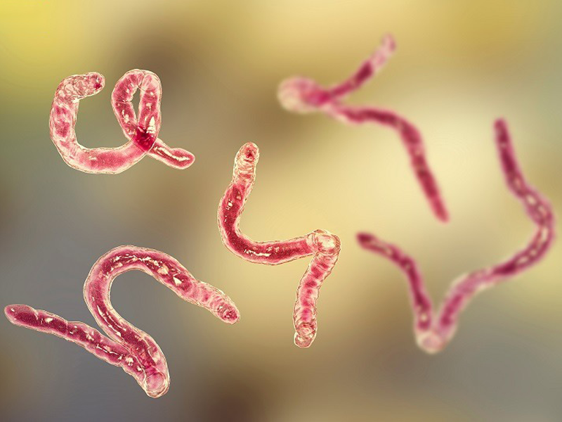 dia-chi-kham-xet-nghiem-giun-san-o-ha-noi