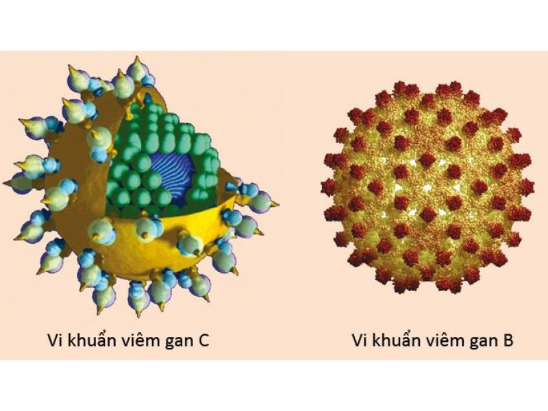 nhung-lam-tuong-ve-can-benh-15-trieu-nguoi-viet-mac-lay-nhanh-hon-hiv