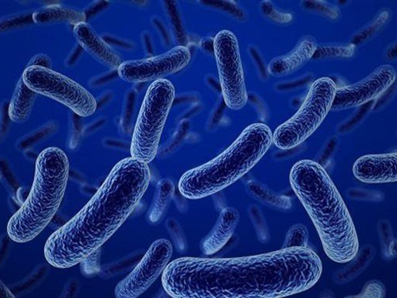 su-dung-loi-khuan-bacillus-huong-di-moi-giup-bao-ve-duong-tieu-hoa