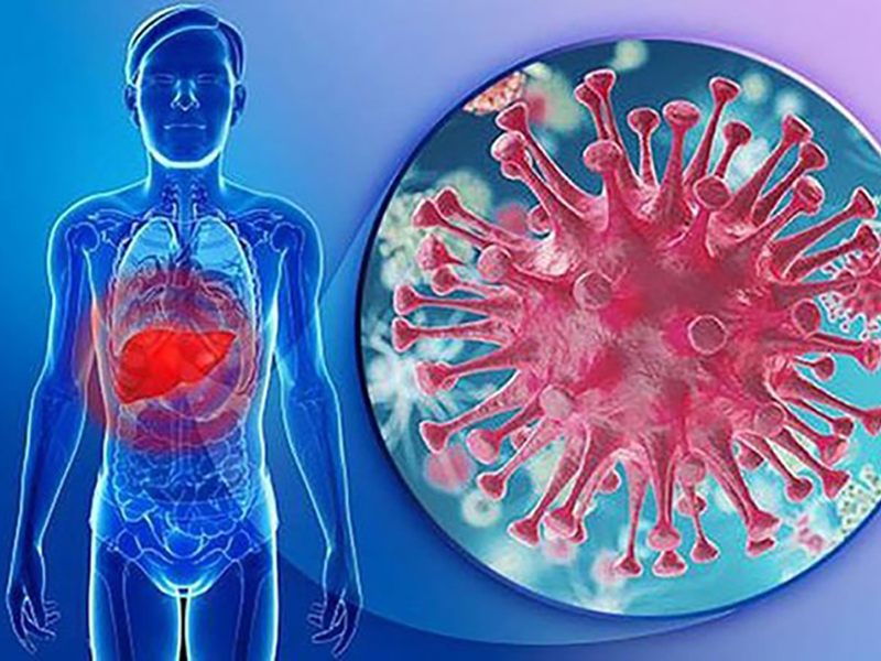 viem-gan-b-sat-thu-tham-lang-gay-ung-thu-gan-phong-tranh-the-nao-cho-hieu-qua